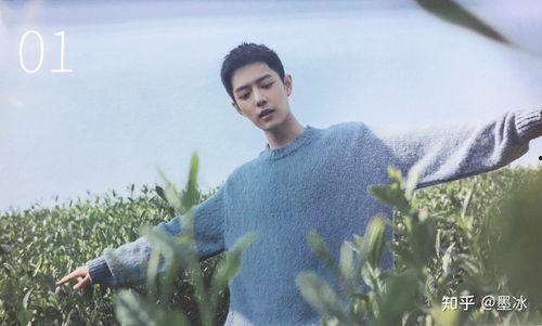 肖战娱乐吃瓜,幕后真相与精彩瞬间